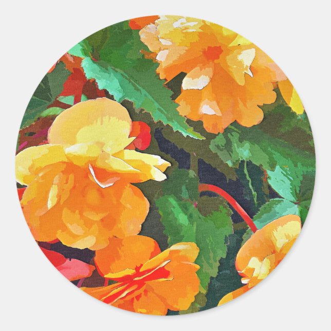BEGONIAS CLASSIC ROUND STICKER (Front)