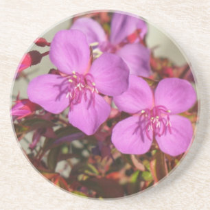 Begonias coaster