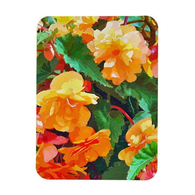 BEGONIAS MAGNET (Vertical)