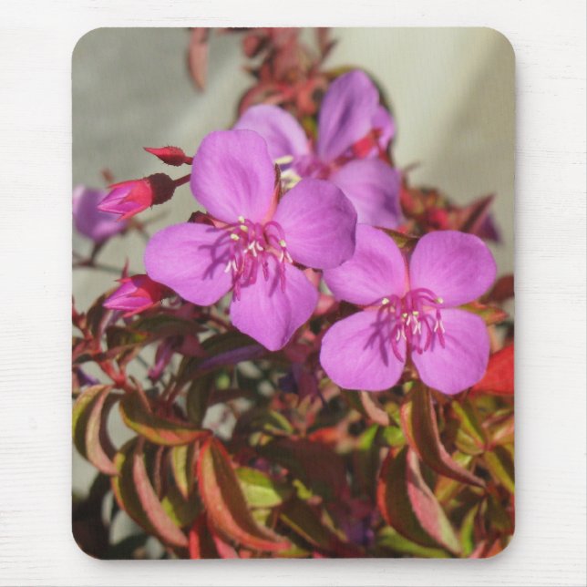 Begonias mousepad (Front)
