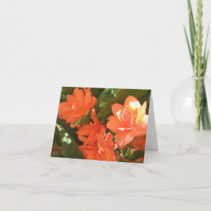 Begonias Note Cards