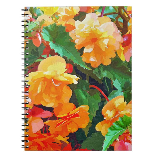 BEGONIAS NOTEBOOK (Front)