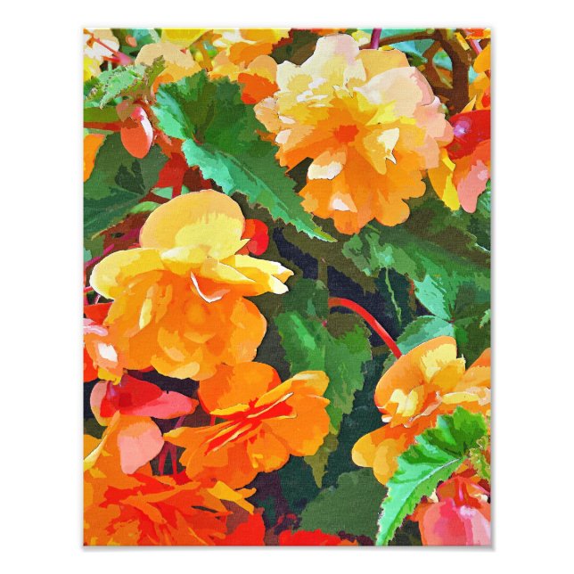 BEGONIAS PHOTO PRINT (Front)