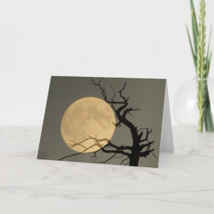 Behind Card