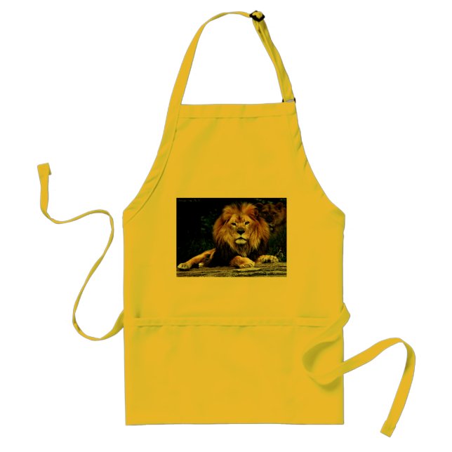 Behind Every Good Man... Standard Apron (Front)