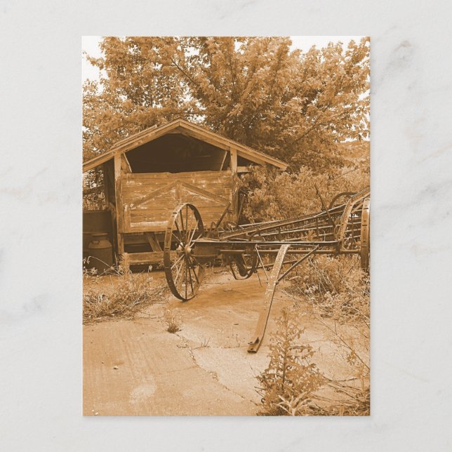 Behind the Barn Postcard (Front)