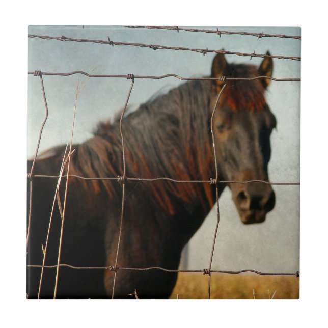 Behind the fence, abstract horse ceramic tile (Front)