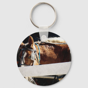 Behind the Fence Amish Horse Key Ring