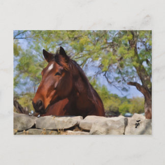 Behind the Wall Postcard