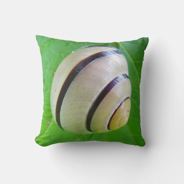 Beige And Brown Snailshell Cushion (Front)