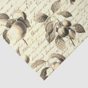 Beige Botanical Vintage Fruit with Script Tissue Paper