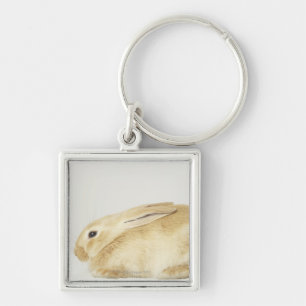 Beige bunny rabbit on white background 4 key ring