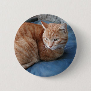 Beige Cat 6 Cm Round Badge
