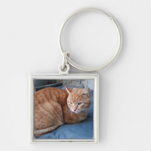 Beige Cat Key Ring (Front)