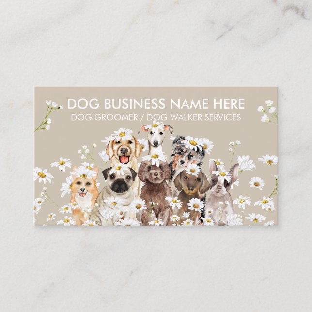Beige Daisy Flowers Pet Sitter Walker dog petcare Business Card (Front)