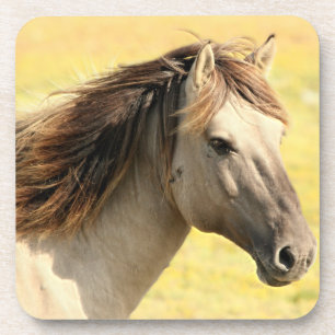 Beige Horse Profile Coaster