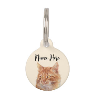 Beige Orange Stray Ginger Cat Pet Tag