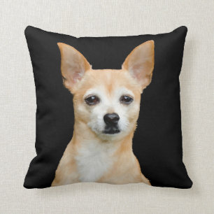 Beige painted chihuahua on black background cushion
