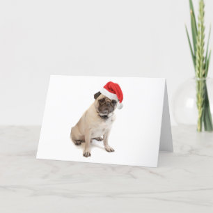 Beige pug with red santa hat on holiday card