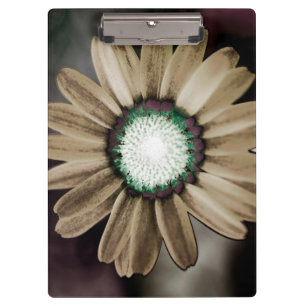 Beige Rustic Daisy Clipboard