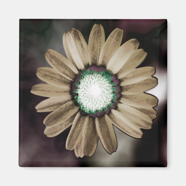 Beige Rustic Daisy Magnet (Front)