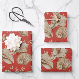 Beige Seashells on Red Wrapping Paper Sheet
