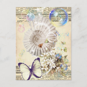 beige vintage butterfly seashell French botanical Postcard