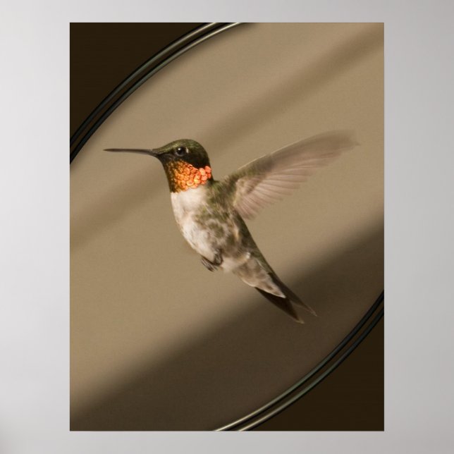 Beija Flor Poster (Front)