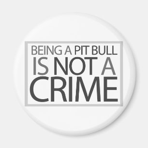 Being a Pit Bull is Not a Crime Magnet