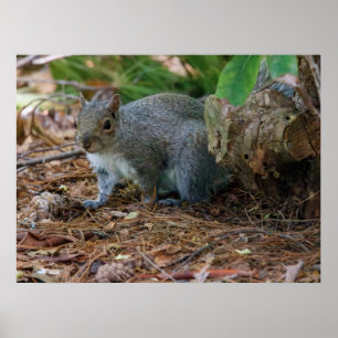 Being Careful Poster