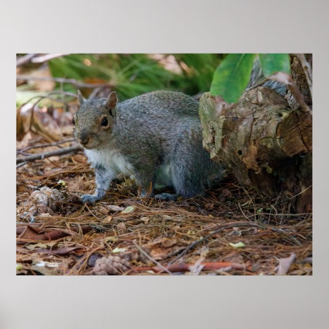 Being Careful Poster (Front)