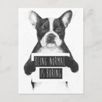Being normal is boring