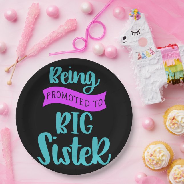Being Promoted To Big Sister Paper Plate (Party)