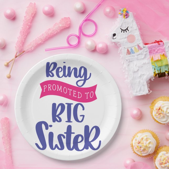 Being Promoted To Big Sister Paper Plate (Party)