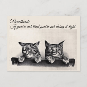 Being Tired and Being a Parent, Sleepy Cats Postcard