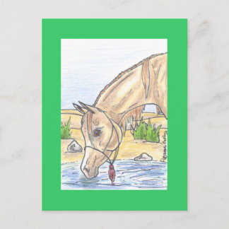 "Bejh bint Ahwa" Postcard