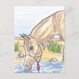 "Bejh bint Ahwa" Postcard