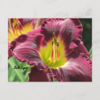 Bela Lugosi - Daylily