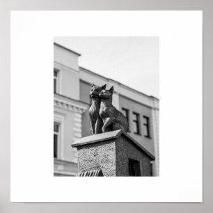 Belarus Беларусь Brest Брэст Cats Poster