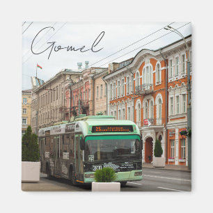 Belarus Беларусь Gomel Architecture Magnet