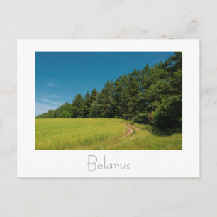Belarus Беларусь Landscape Nature Postcard