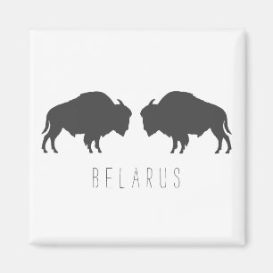 Belarus Belarusian Bison Зубр Беларусь Travel Magnet