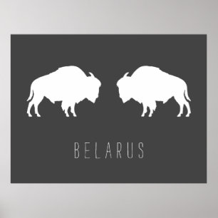 Belarus Belarusian Bison Зубр Беларусь Travel Poster