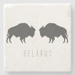 Belarus Belarusian Bison Зубр Беларусь Travel Stone Coaster