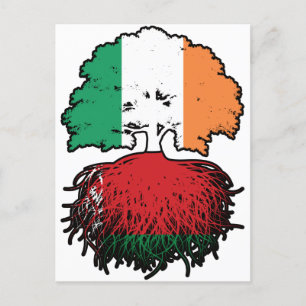 Belarus Belarusian Irish Ireland Tree Roots Flag Postcard
