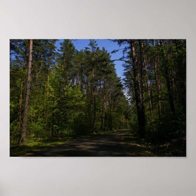 Belarus Forest Rural Road Sky Landscape Nature Poster (Front)