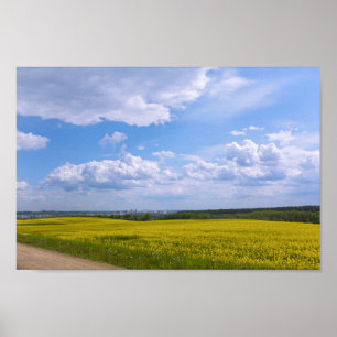 Belarus Grodno Canola Fields Flowers Poster