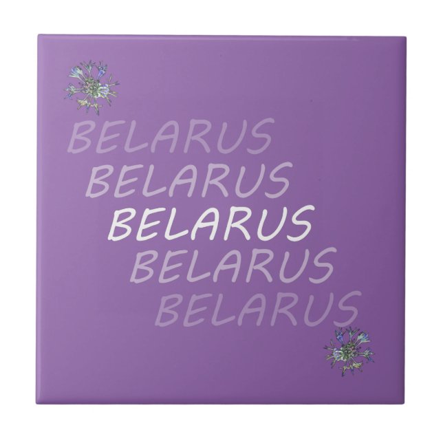 Belarus National Corn Flower Ceramic Tile (Front)