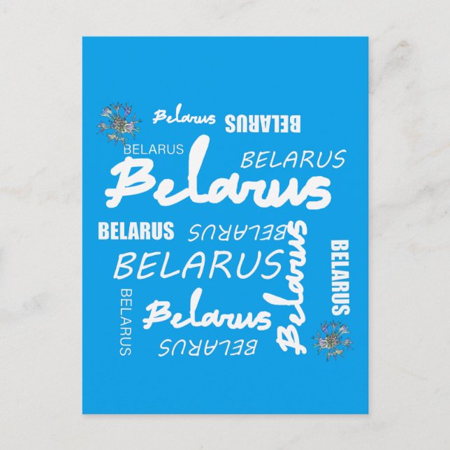 Belarus National Corn Flower Postcard (Front)