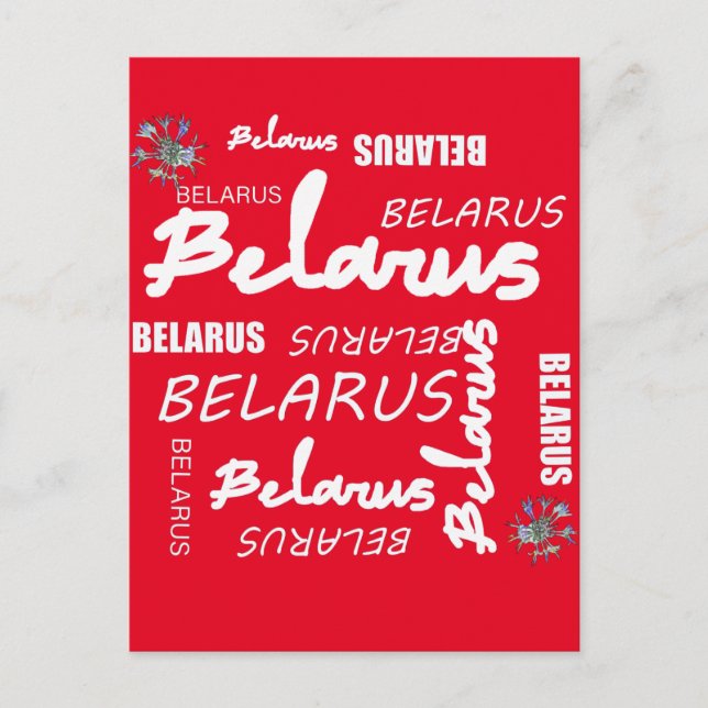 Belarus National Corn Flower Postcard (Front)